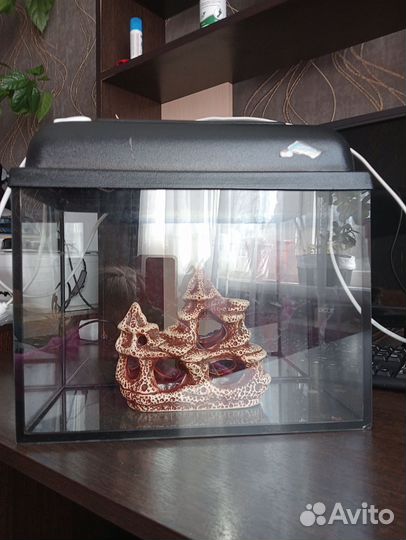 Аквариум на 15 литров