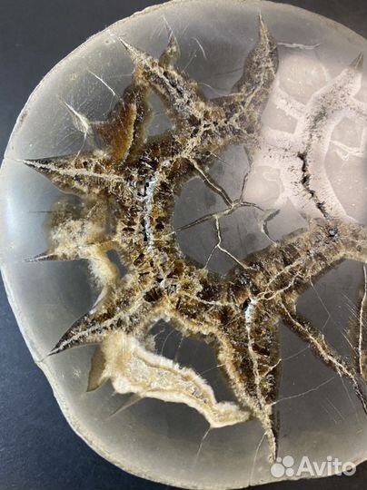 Септария коллекционый образец камни и минералы
