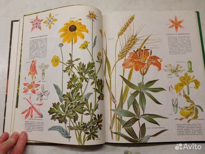 Книги о растениях