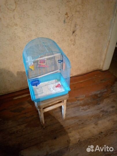 Клетка для попугая бу
