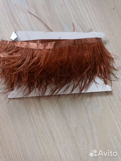 Перо на ленте