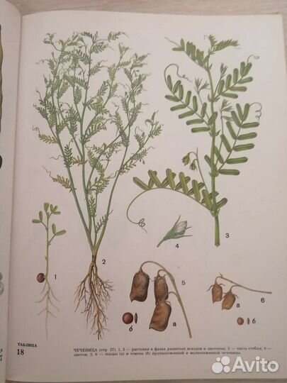 Книга про Сельское хозяйство