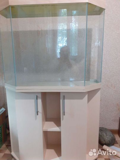 Аквариумы под заказ
