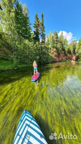 Аренда сап досок / Прокат SUP бордов Gladiator