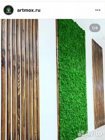 Стабилизированный мох панно