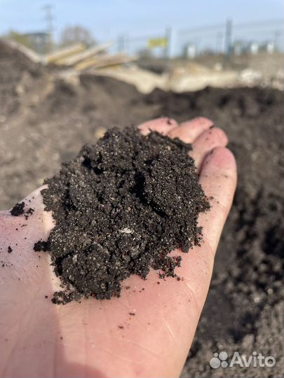 Чернозем тараканом быстро без посредников
