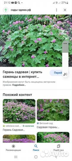 Цветы для сада