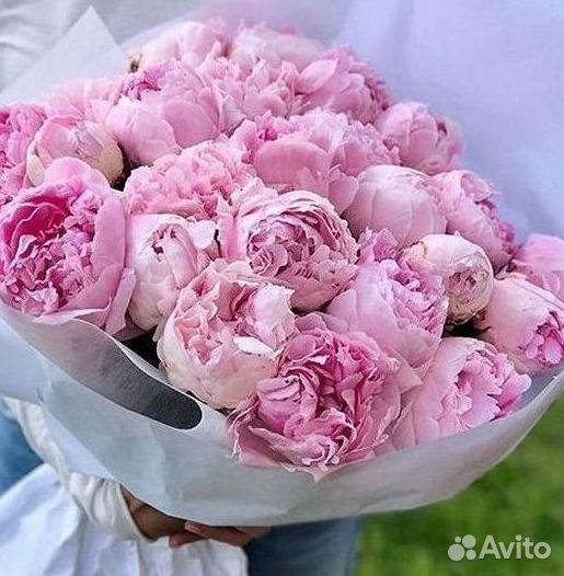 Пионы Букет