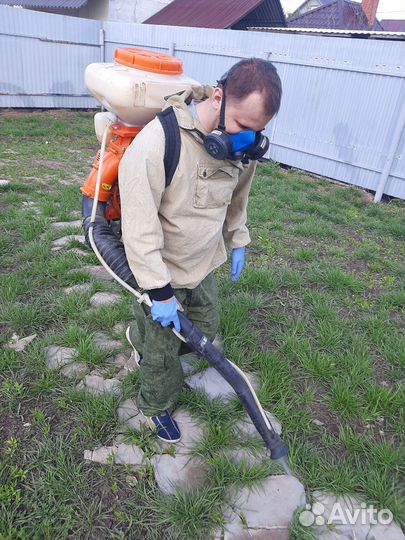 Обработка от клещей/уничтожение насекомых