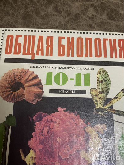 Книги 10 класс