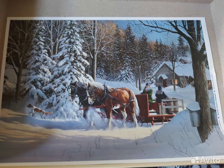 Пазл Cobble Hill США 