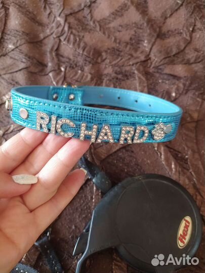 Поводок рулетка для собак 4,5 м, ошейник