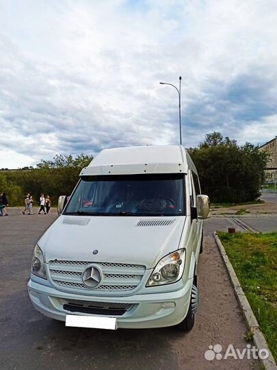 Трансферы, поездки в териберку, Северное сияние