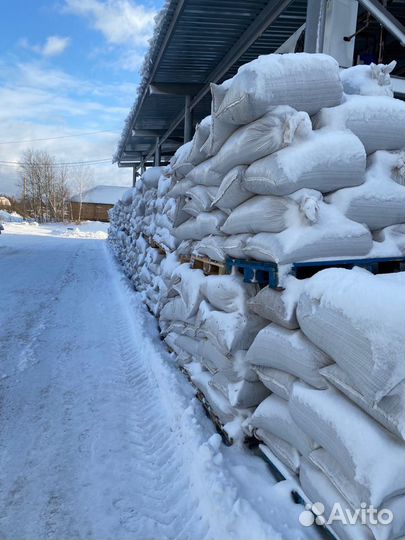 Скорлупа кедрового ореха