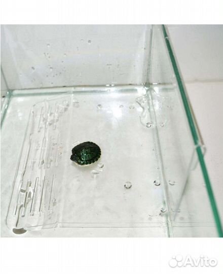 Товары для террариума,аквариума