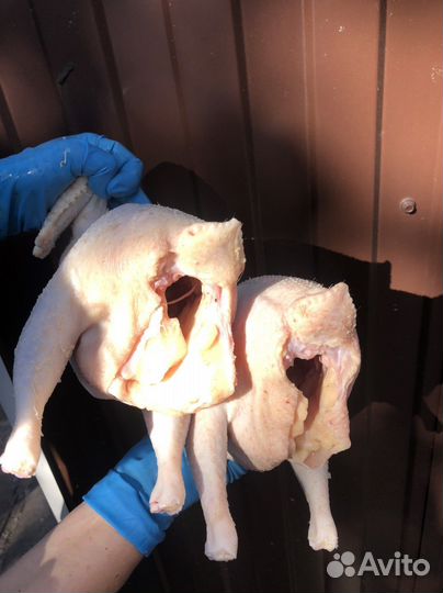 Мясо бройлера