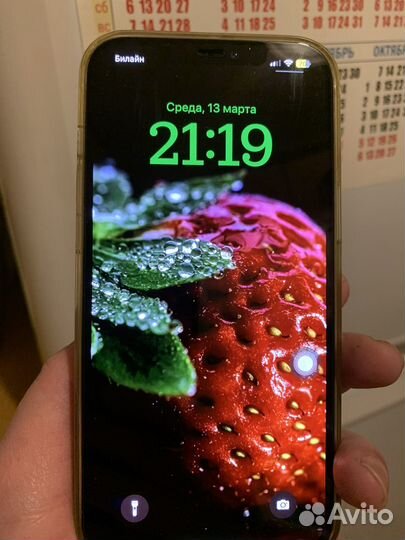 iPhone 12 Pro Max, 256 ГБ