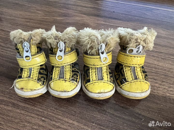 Ботинки для собак р.2 Showpet