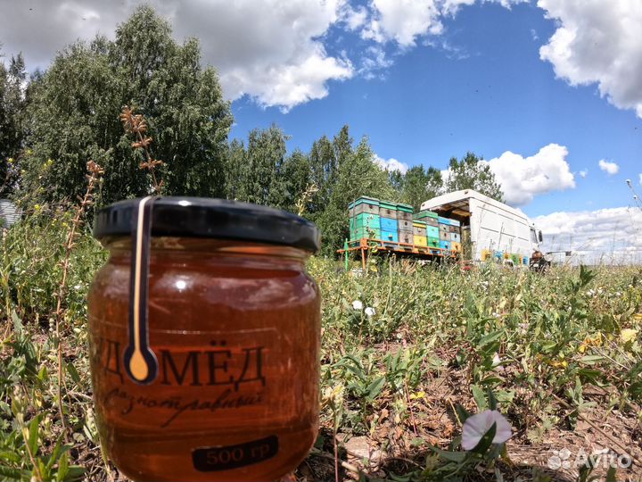 Мёд натуральный - 5 сортов, опт. Тверь