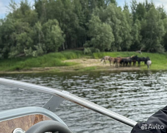 Туристическая прогулка на катере. Аренда катера