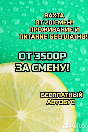 Вахта 20 смен проживание питание комплектовщик