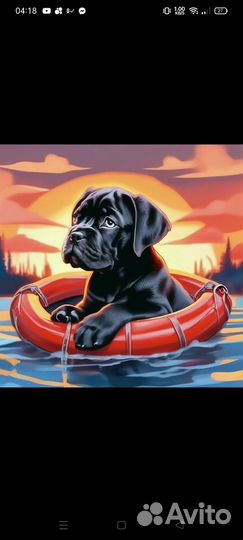 Щеночки Кане Корсо