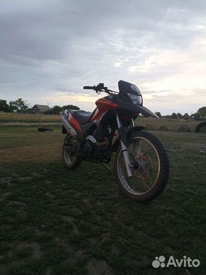 Racer ranger 200