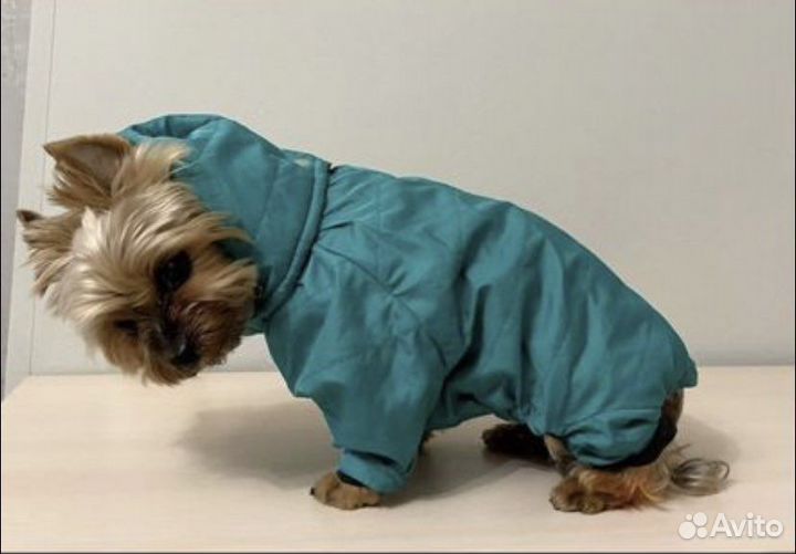 Одежда для собак мелких пород