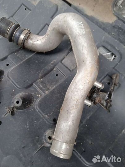 Патрубок интеркулера nissan x trail t 31