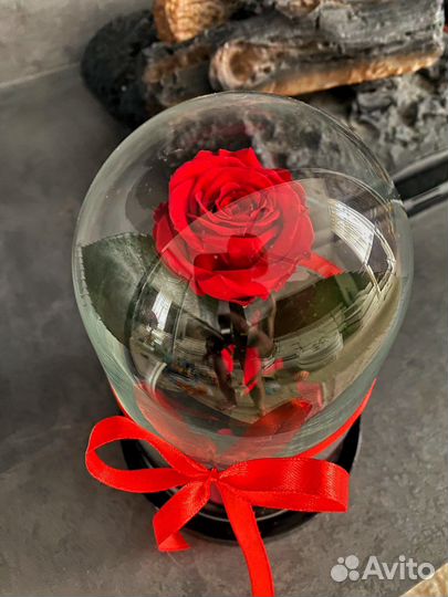 Роза в колбе
