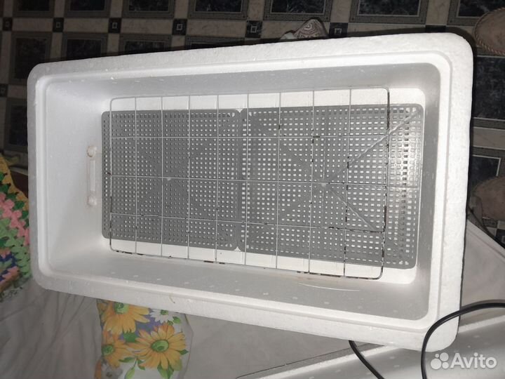 Инкубатор для яиц автоматический бу