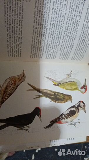 Волосы по растениям,животным