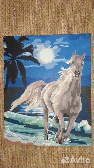 Нарисованная картина по номерам 40 50