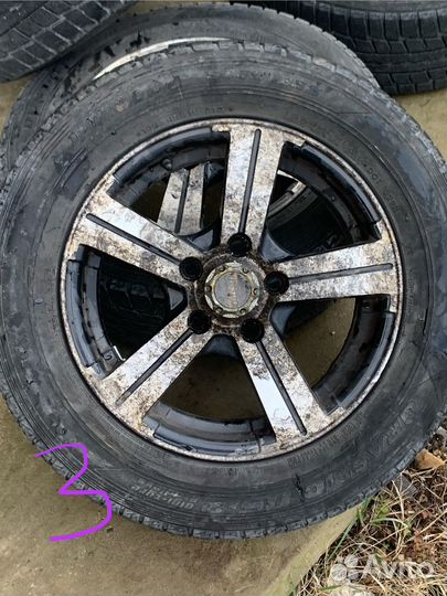 Dunlop Graspic DS2 195/65 R15 B