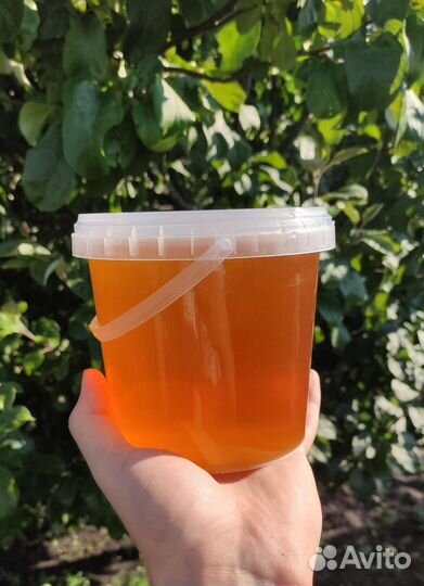 Мёд натуральный с семейной пасеки