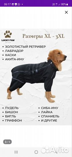 Комбинезон-дождевик р.L