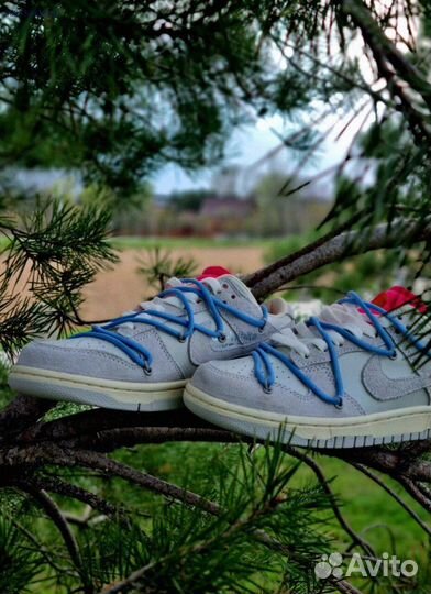 Кроссовки для мужчин Nike Dunk Off White (41-45)