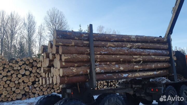 Круглый лес для сруба