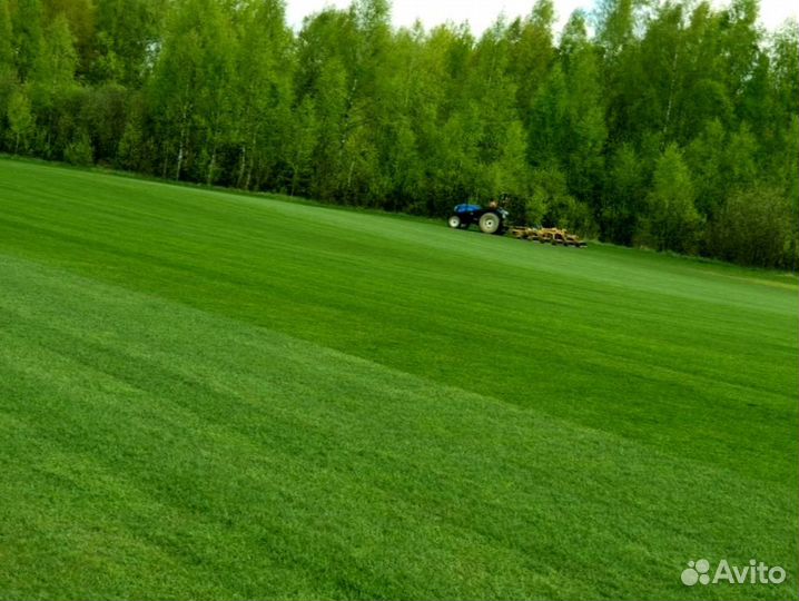 Рулонный газон