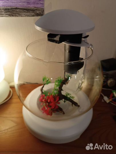 Аквариум круглый с подсветкой