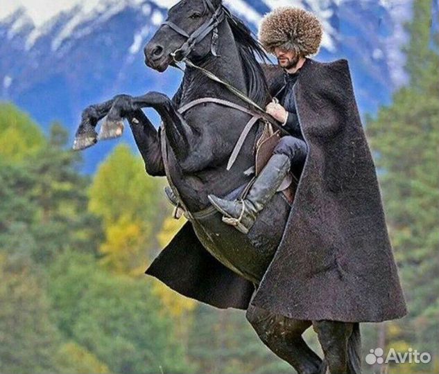 Кавказская Бурка