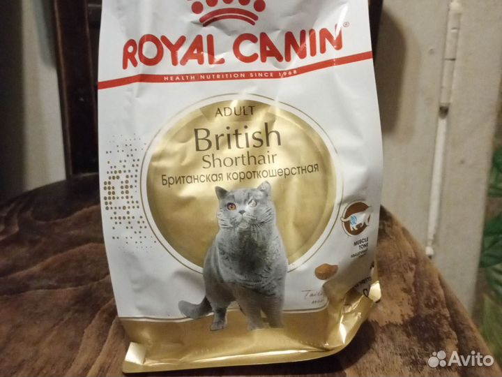 Корм для кошек