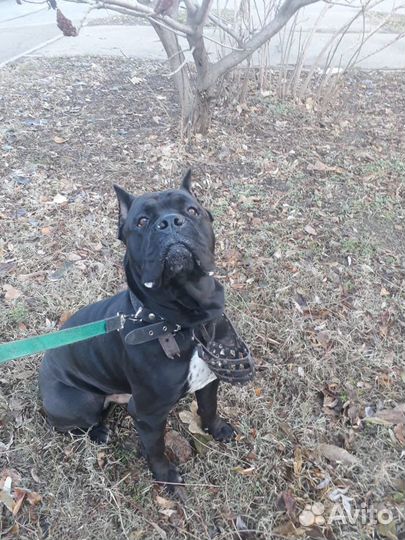 Передержка в домашних условиях