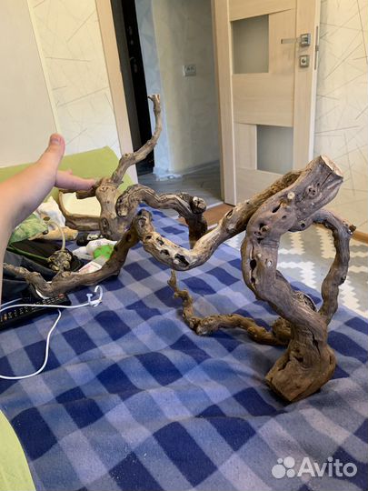 Коряга в террариум аквариум