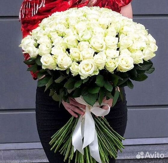 Высокие розы Гигантские Розы 150 160 170 180 190см