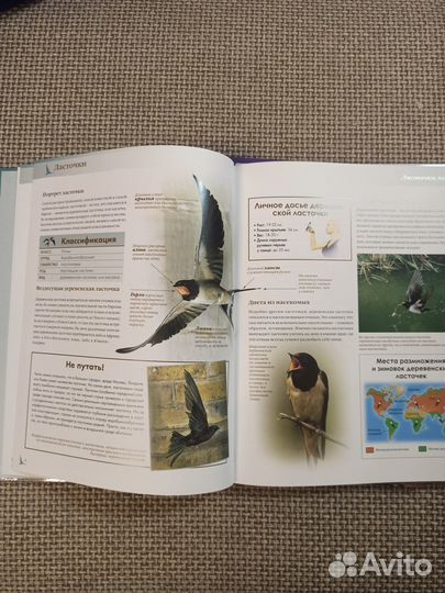 Книги для школьников