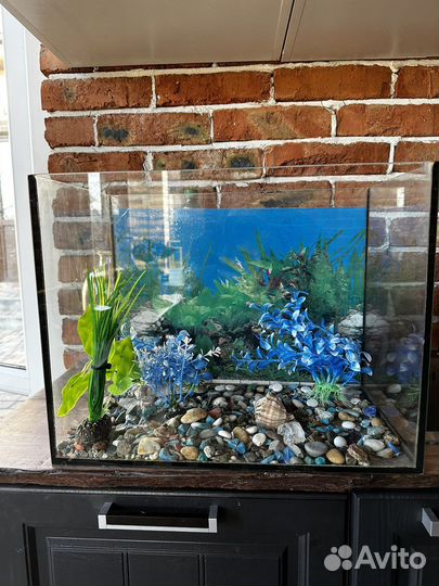 Аквариум