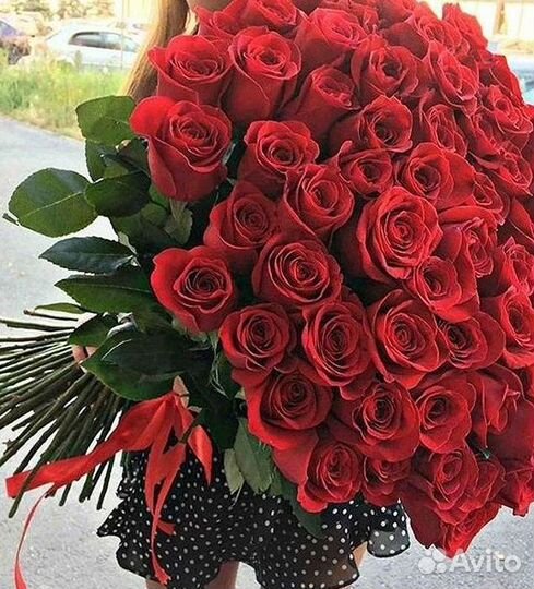 Высокие розы