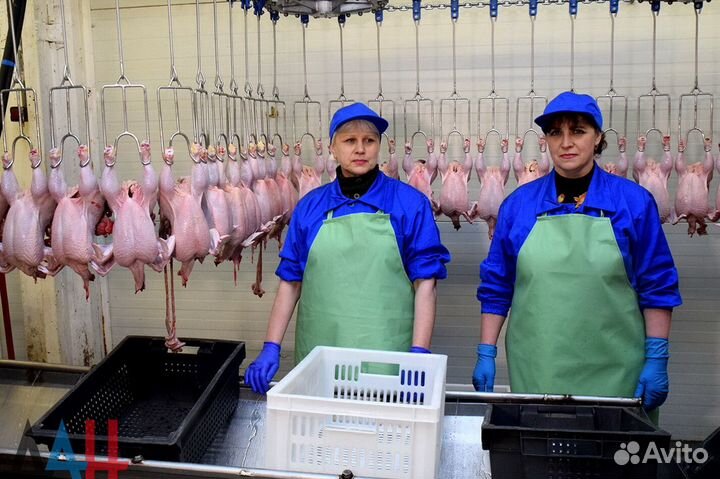 Вакуумирование продукции/ рабочий (вахта)