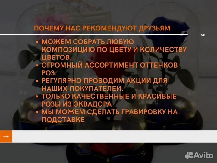 Роза в колбе. Живая